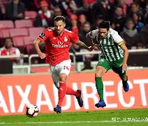 哈哈体育官网首页登录-波兰8小时大赛回放在线